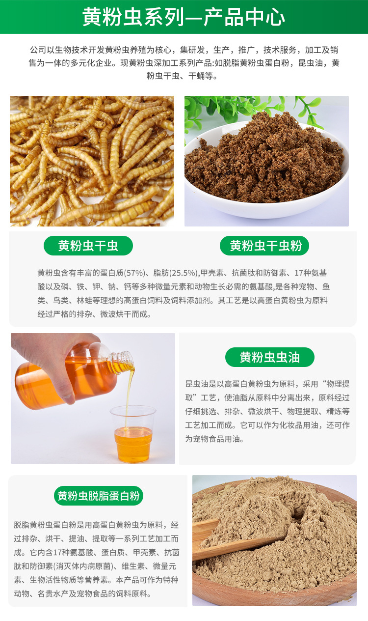 面包蟲(chóng)干 小身材大營(yíng)養(yǎng)，一站式全寵物營(yíng)養(yǎng)解決方案