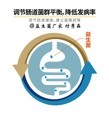 奶牛消化問題科學(xué)應(yīng)對(duì) 生物飼料添加劑研發(fā)與高效應(yīng)用